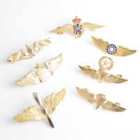 Broches de revers personnalisées en alliage de zinc 3D, style traditionnel et moderne, plaqué antique, emblème d'aile, cadeau souvenir de collection