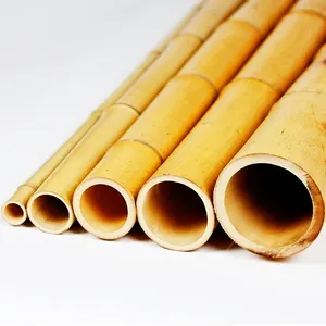 Raw Bamboo Pole Price Bamboo Supplier Wholesale Outdoor Yellow Nature Raw And Dry Bamboo Pole 2M 3M 4M 5M 6M 7M 8M