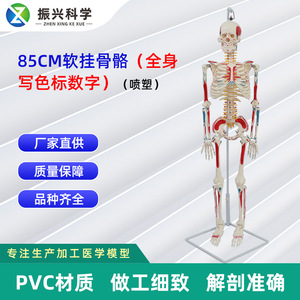 85CM - Product Image 5