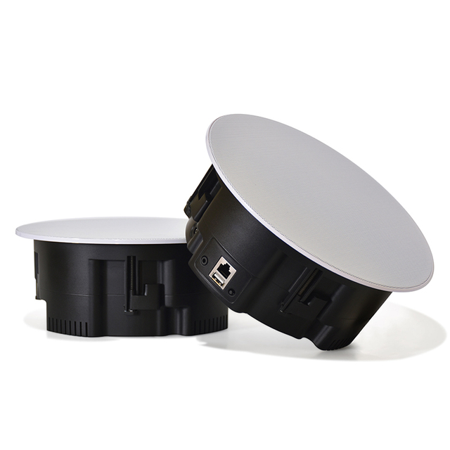 Wireless Ceiling Speaker WiFi2.4G&5G BT5.4 AUX USB Multi-room Playback Home Audio System Active Speakers