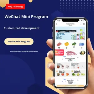 Alquiler de Coches Mini Programa, Plataforma Sistema, Coches de Boda, Negocio, Stock, Cuenta Oficial. - Product Image 1