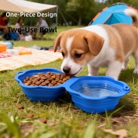 Bol pliable pour animaux de compagnie en silicone, nouveau style, mignon, portable, pour boire et manger, pliable, pour chat