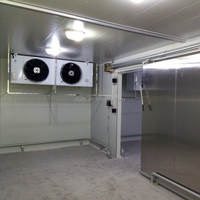Chambre froide mobile ignifuge personnalisée avec panneaux isolants de 43 kg/m³ et porte à charnières – Fabricant