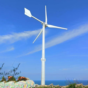 Công suất thực 5KW 10KW 20kW trục ngang Tua Bin Gió Máy phát điện để bán - Product Image 3
