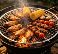 Grille de cuisson ronde en maille de qualité alimentaire pour barbecue, revêtement de cuisson pour barbecue, ensembles de service pour pique-nique et buffet, revêtement pour pizza de 290 mm pour distributeur automatique