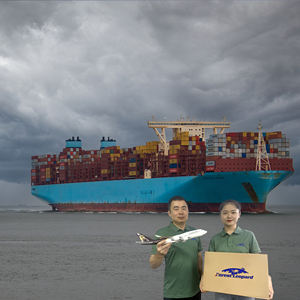 من الباب إلى الباب Fba وكيل شحن جوي أسعار وكيل الشحن Ddp من الصين إلى الولايات المتحدة الأمريكية الولايات المتحدة الأمريكية سفينة LCL - Product Image 3