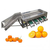 Automatische elektronische sorteerapparatuur voor walnoten, kersen, citrusvruchten, kiwi's, hagedoornvruchten, avocado's, loquatjes, navelbessen, kumquats.