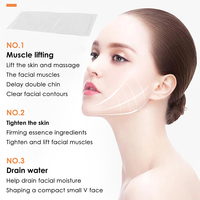 Masque en plâtre de gypse 3D pour spa de beauté, masque momie en gypse pour le visage en V, nettoyant facial longue durée