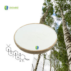 Poudre de Betuline de Haute Qualité SLBIO 98% CAS 473-98-3 Extrait de Cendres de Bouleau en Poudre - Product Image 1