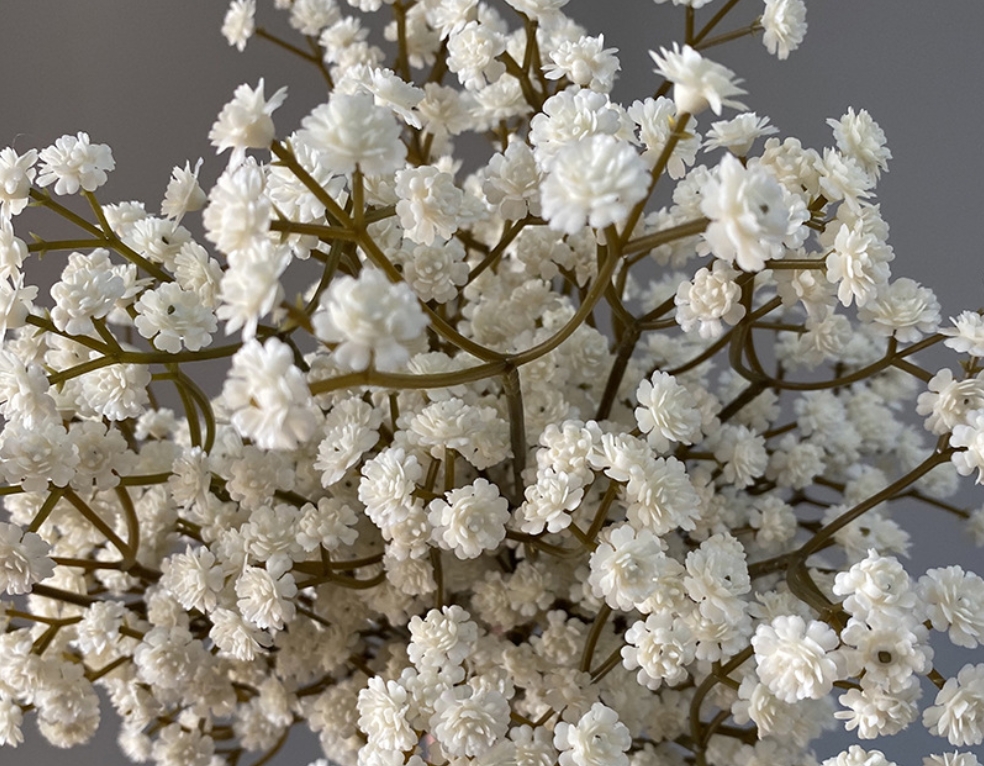 High Quality Real Touch Gypsophila Flowers - Autumn Color