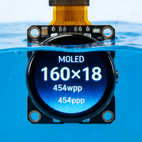 Modul Layar LCD TFT Bulat 1,3 Inci Kustom 160x160 dengan Kecerahan 450 Nits untuk Desain Fashion Jam Tangan Pintar