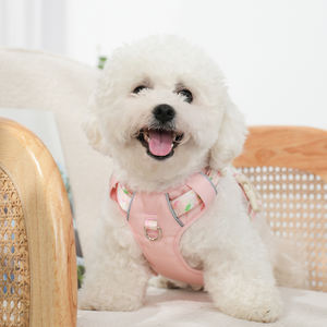 Tali kekang anjing neoprena, bisa disesuaikan pola buah cetak anyaman bernapas nyaman untuk semua ukuran anjing - Product Image 6