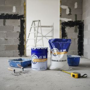 Pintura de Revestimiento Impermeable de Cemento Polimérico JS de Diseño Moderno, de Larga Duración, para Paredes Exteriores, Azulejos, Sótanos y Almacenes - Product Image 1