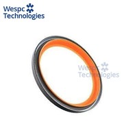 Joint d'étanchéité arrière du vilebrequin WESPC 554/127, adapté aux moteurs diesel Perkins série 4000, en matériau PTFE caoutchouc métallique.