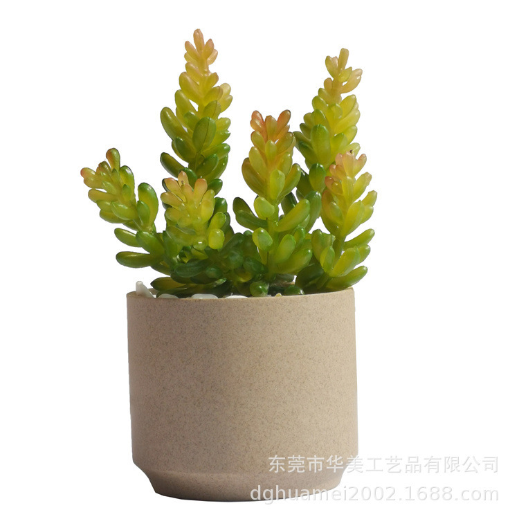 Spring color without pot