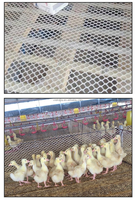 Malla de Plástico Resistente de Fábrica, Multiusos, Antirrobo, para Ventanas, Barandas, Barrera para Mascotas y Protección Contra Caídas