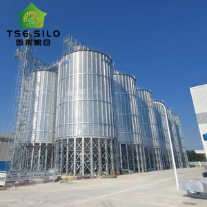 Vente directe usine – Silo en acier galvanisé grande capacité 500T-1500T, à fond conique, pour stockage de céréales, certifié ISO CE, longue durée de vie - Product Image 4