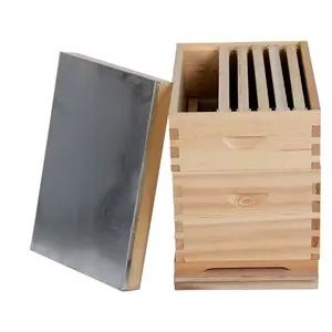 ¡Producto en oferta! Colmena australiana de madera de pino con Marco, nuevos productos, equipo de apicultura de madera, caja de colmena a la venta