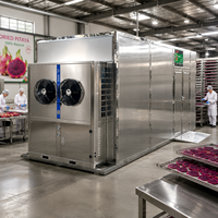 Industriële Dragon Fruit Droogmachine Kastdroger Automatische Dehydrator