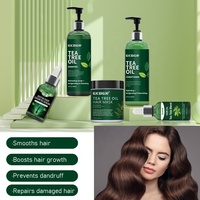 OEM/ODM Factory Bio-Teebaumöl-Kontrolle Anti Itchy Dry Scalp Paraben Free Shampoo Haarmaske Conditioner Set Bulk Sale