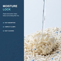Litière pour chat de qualité supérieure à base de tofu et de manioc, contrôle durable des odeurs, facile à ramasser, marque privée, emballage personnalisé, OEM, ODM, vente en gros