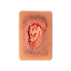 Modelo de Enseñanza de Heridas Necróticas DARHMMY - Simulación Realista de Necrosis Cutánea para Entrenamiento Quirúrgico y de Enfermería, Tipo Ciencias Médicas - Product Image 1