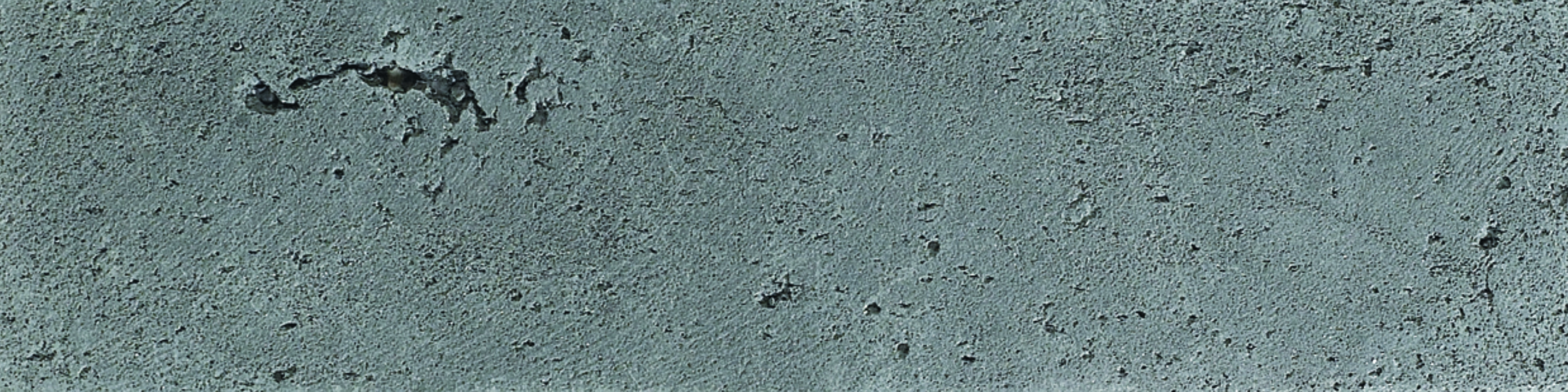 031