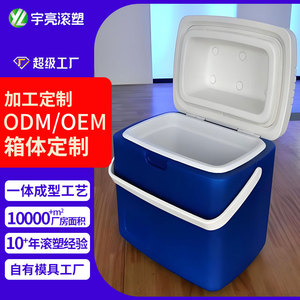 Caja de Instrumentos de Plástico Rotomoldeado de 6 Pulgadas, Caja Refrigeradora de Una Pieza Personalizada ODM OEM para Transporte - Product Image 1