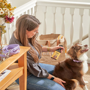 Champú Orgánico para <span class=keywords><strong>Perros</strong></span> al por Mayor OEM para Aliviar la Picazón, Champú Natural Hipoalergénico con Fragancia para el Cuidado de Mascotas, <span class=keywords><strong>Lavado</strong></span> para el Pelo de <span class=keywords><strong>Perros</strong></span> - Product Image 5