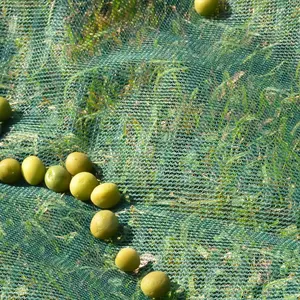 Fabrik Plastik netz Frucht oliven sammel netz für Ernte sammlung Oliven netz für Obsts ammler JC004