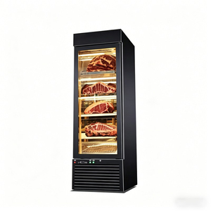 Refrigerador de Una Puerta para Maduración en Seco de Carne de Res |   Refrigerador de Curación de Carne con Control Digital, Gabinete de Enfriamiento Ventilado para Fermentación de Filetes - Product Image 6