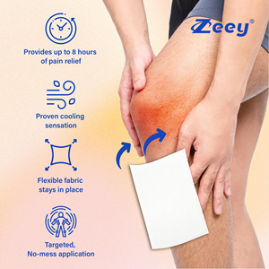 <span class=keywords><strong>Patch</strong></span> <span class=keywords><strong>chauffant</strong></span> en hydrogel au chili CSI de haute qualité pour le massage des épaules, du cou, de la taille, des jambes et des articulations, soulagement rapide de la douleur musculaire, soulagement de 8 heures - Product Image 5