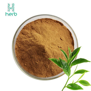 EGC EGCG polvere 98% uv polifenoli del tè in polvere estratto di tè verde in polvere - Product Image 3