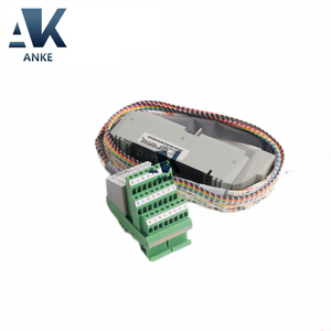 Cable de terminación Foxboro FBM4/39/44 P0500RY Invensys serie I/A - Product Image 2