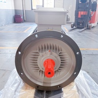 Moteur électrique 90 kW/440 kW à bobine, 3000 tr/min, sans balais, 2 pôles, avec chauffage par induction, pour machine à grignoter les graines et cage à ardillons