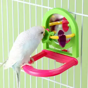Papegaai Speelgoed Vogel Met Een Spiegel Station Paal Knagende Speelgoed Verveling