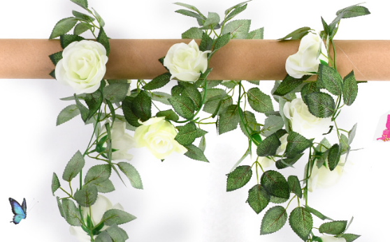 5-16 ดอกกุหลาบ