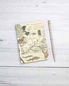 Cuaderno con Diseño de Patrones Científicos Vintage - Diseño de Origen de las Especies y Papel Ecológico Kraft - Product Image 1