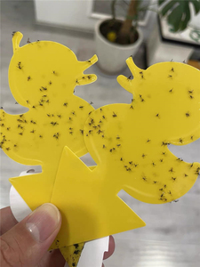 Trampas Adhesivas Amarillas para Moscas de la Fruta, Eliminador de Mosquitos del Hongo para Plantas de Interior y Control de Plagas en Jardines Exteriores - Product Image 3