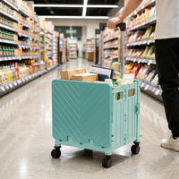 Chariot de transport à roulettes en PP anti-usure personnalisable pour la cuisine, le supermarché, la plage, l'extérieur - Chariot pliable avec capacité de 45/65L