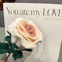 Fleurs au crochet, fleurs artificielles tricotées, rose thaïlandaise éternelle préservée, cadeaux de Noël et de la Saint-Valentin, rose au crochet