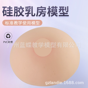 Formation des conseillères en lactation : seins artificiels médicaux en silicone souple, écoles professionnelles de services domestiques, hôpitaux - Product Image 3