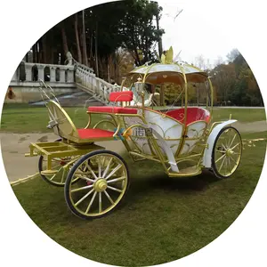 OEM Wedding Full Hood Carriages Elegant Victoria Horse Cart New Indian Wedding Buggy Lovely English Wagonette