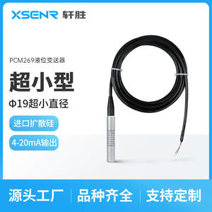 Sensor de Nivel Sumergible Pcm269, 19 mm de Diámetro, Salida 4-20 mA, Columna de Agua de 0-120 m, Transmisor de Silicio Difundido - Product Image 5