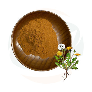 Poudre d'extrait de pissenlit de qualité supérieure China-Herb Supply |   Ingrédient Herbacé Naturel <span class=keywords><strong>Taraxacum</strong></span> - Product Image 1