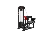Machine de musculation multifonctionnelle à cinq stations pour la musculation, la force et la remise en forme, équipement d'extension dorsale