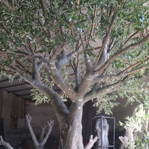 Thiết Kế Mới Công Cộng Trang Trí Ô Liu Lớn Cây Cho Trong Nhà Và Ngoài Trời Trang Trí - Product Image 3