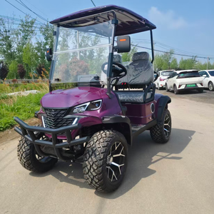 <span class=keywords><strong>Voiturette</strong></span> de golf tout-terrain entièrement personnalisée pour 2 passagers, homologuée pour les routes pavées et les chemins en terre battue - Product Image 6