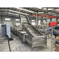 Groentewasmachine Industriële Chili Wasmachine Roterende Fruitgroente Wasmachine