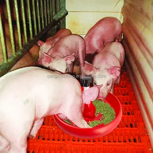 ZB LMP 12 équipement de ferme porcine mangeoire pour animaux porcelets mangeoire pour cochons d'inde en plastique